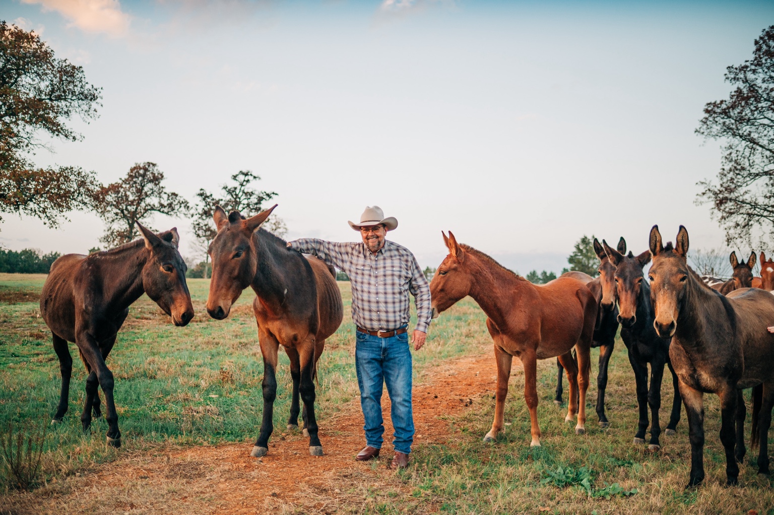 Keith standing among the herd on the farm