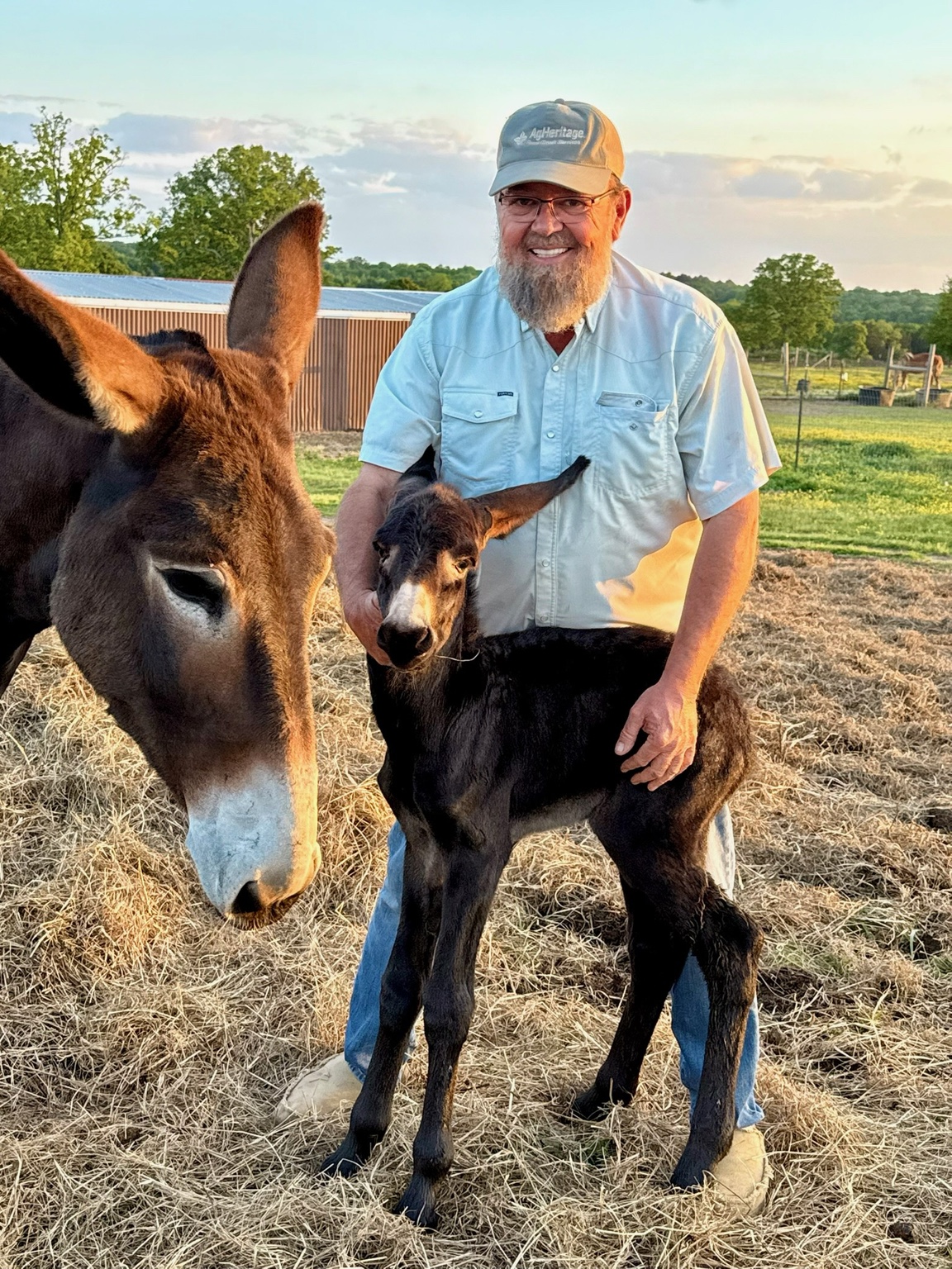 Keith beside a young animal on the farm